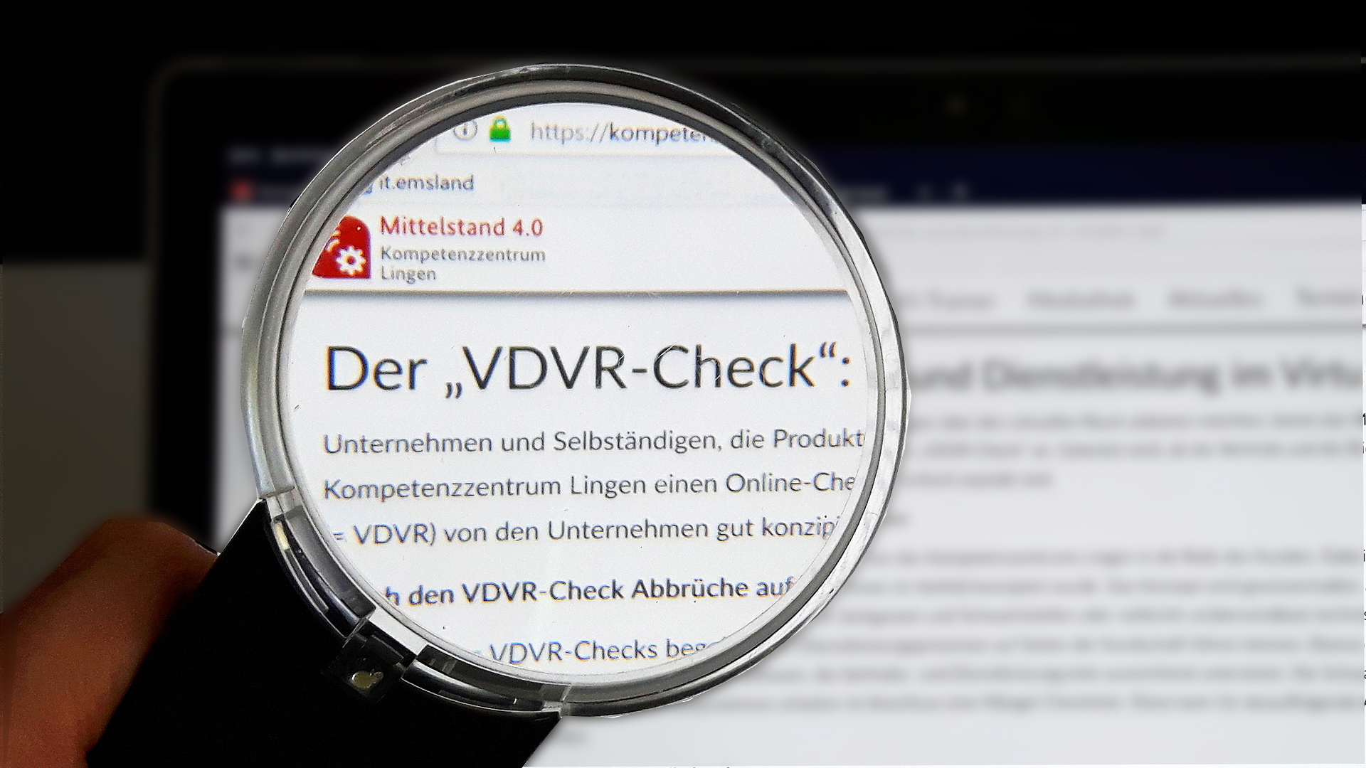 VDVR-Check für Unternehmen